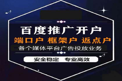 百度竞价广告投放全解析：成功案例揭秘
